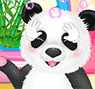 fluffy panda salon